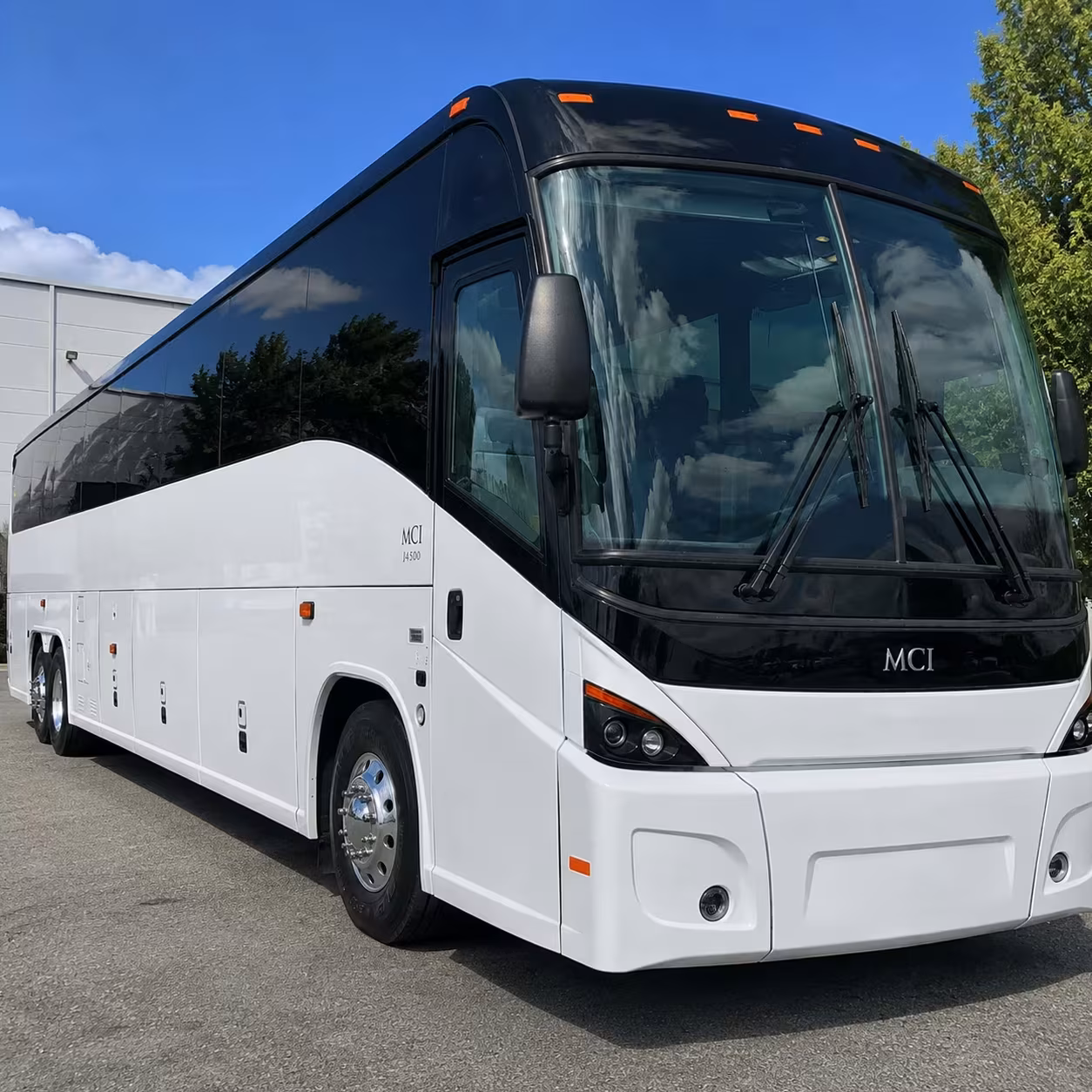 new haven 56 passenger charter bus rental