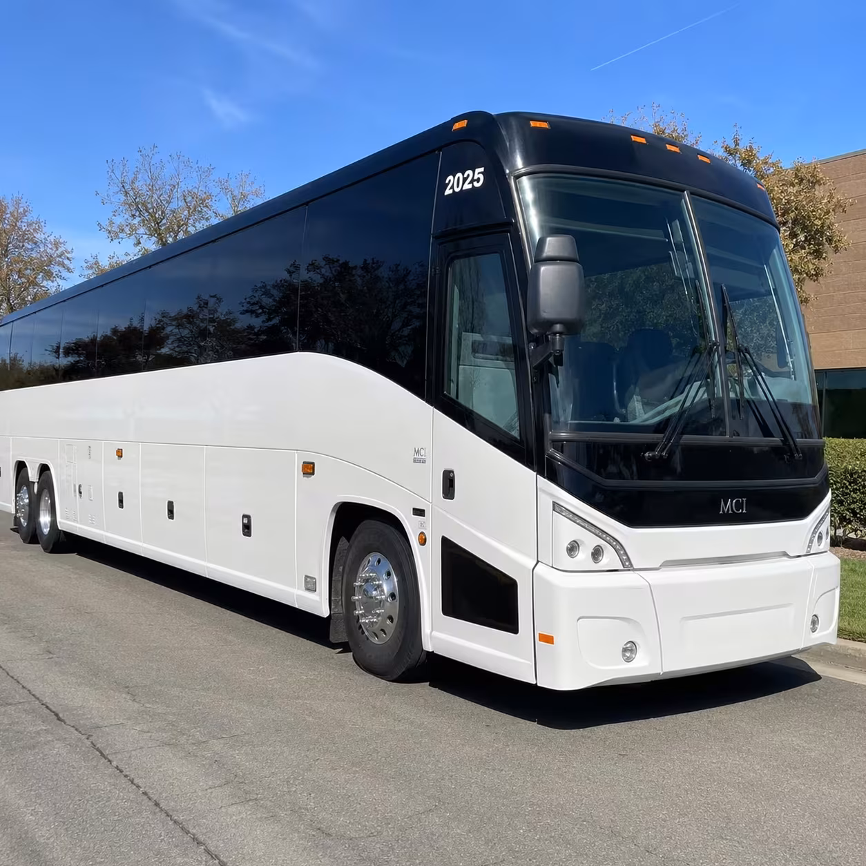 new haven field trip and sports team charter buses